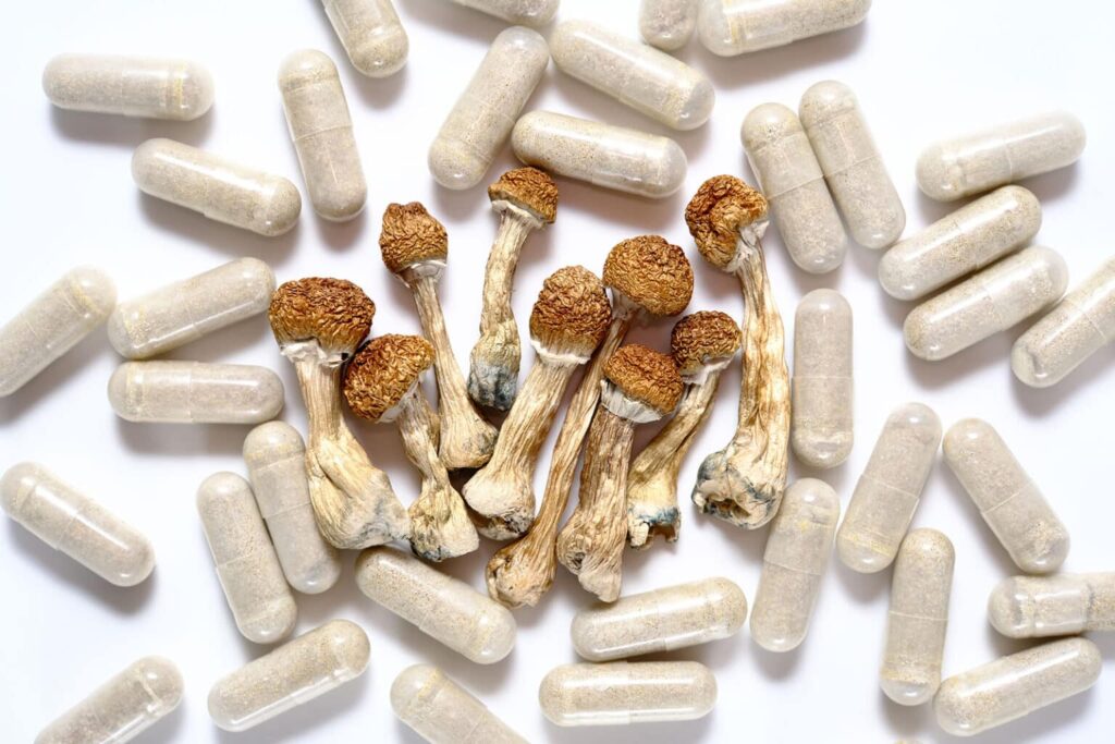 magic mushroom
